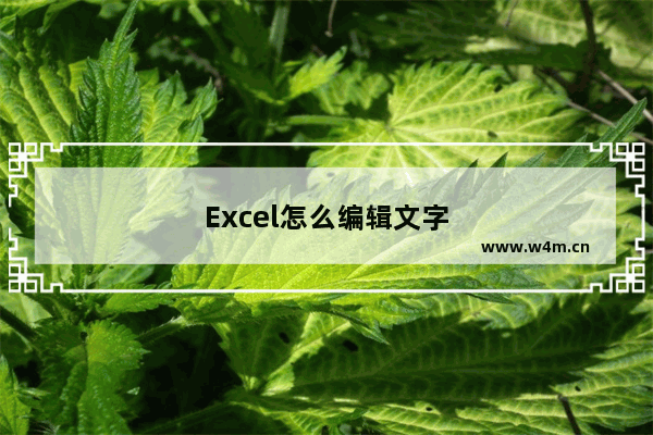 Excel怎么编辑文字