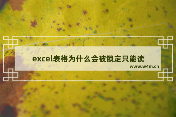 excel表格为什么会被锁定只能读