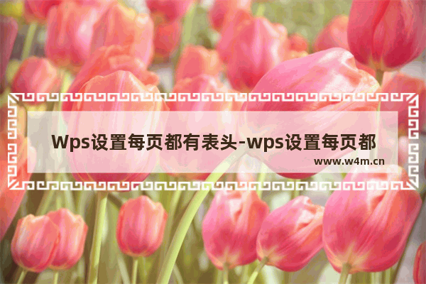 Wps设置每页都有表头-wps设置每页都有表头设置不上