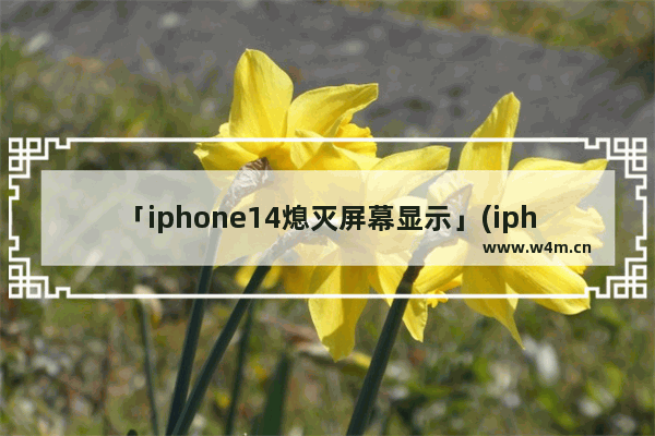 「iphone14熄灭屏幕显示」(iphone14熄灭屏幕显示时间)