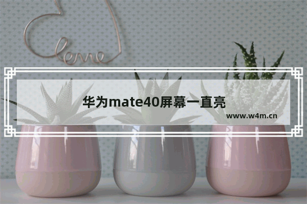 华为mate40屏幕一直亮