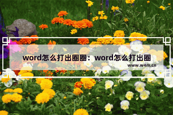 word怎么打出圈圈：word怎么打出圈圈11