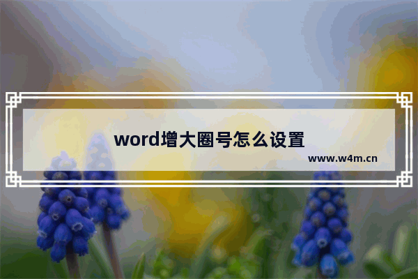 word增大圈号怎么设置