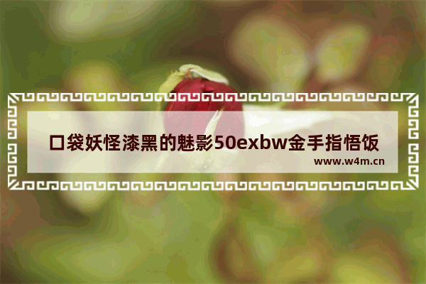 口袋妖怪漆黑的魅影50exbw金手指悟饭 口袋妖怪漆黑的魅影50exbw金手指悟饭怎样升级快