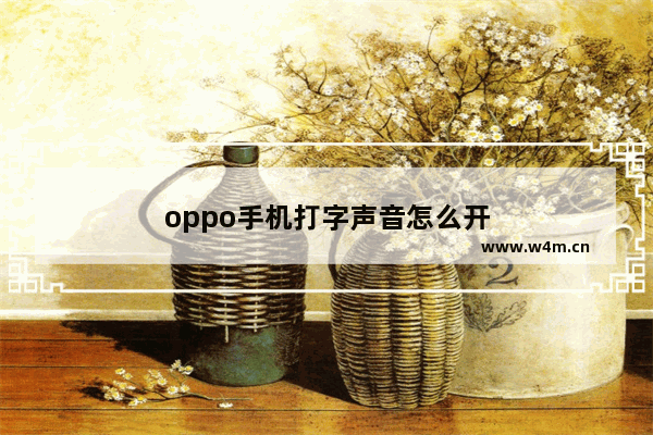 oppo手机打字声音怎么开