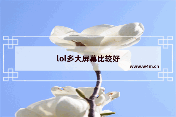 lol多大屏幕比较好