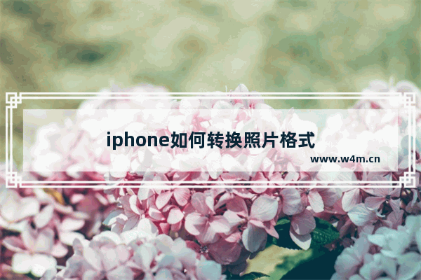 iphone如何转换照片格式