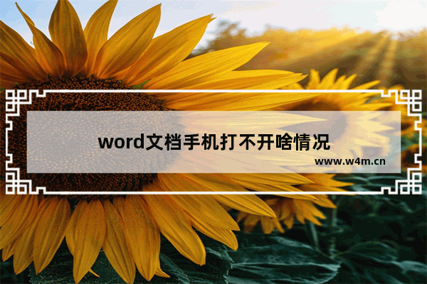 word文档手机打不开啥情况