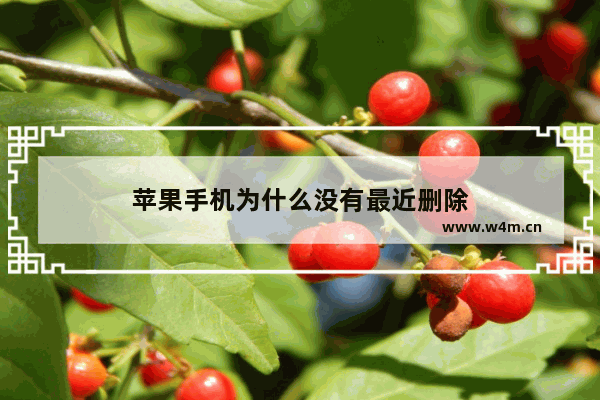 苹果手机为什么没有最近删除