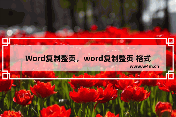 Word复制整页，word复制整页 格式不变后页数增多了