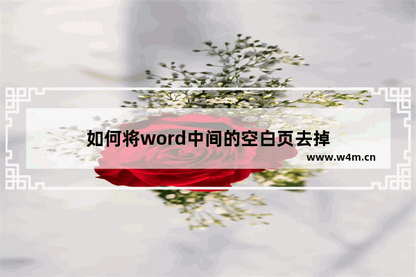 如何将word中间的空白页去掉