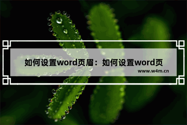 如何设置word页眉：如何设置word页眉的一条横线