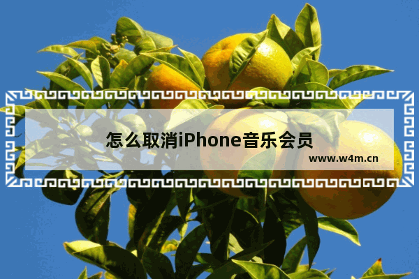 怎么取消iPhone音乐会员