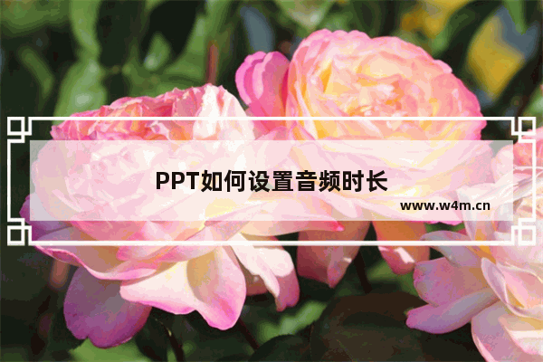 PPT如何设置音频时长