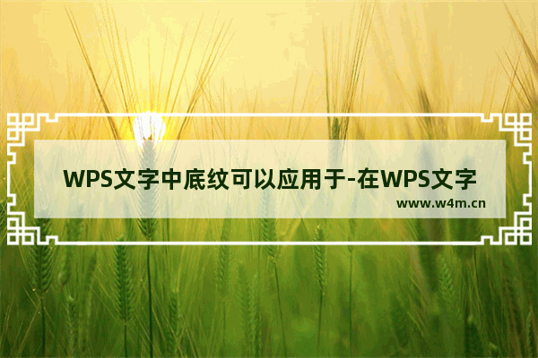 WPS文字中底纹可以应用于-在WPS文字中底纹可以应用于哪里