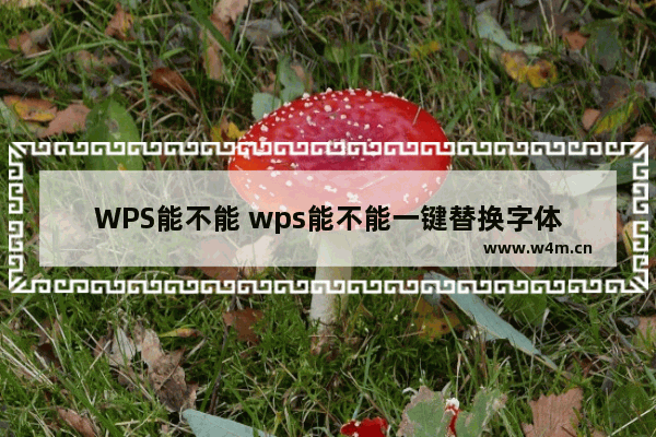 WPS能不能 wps能不能一键替换字体