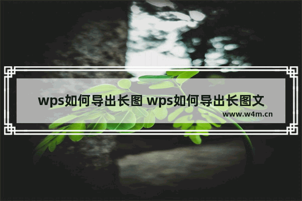 wps如何导出长图 wps如何导出长图文