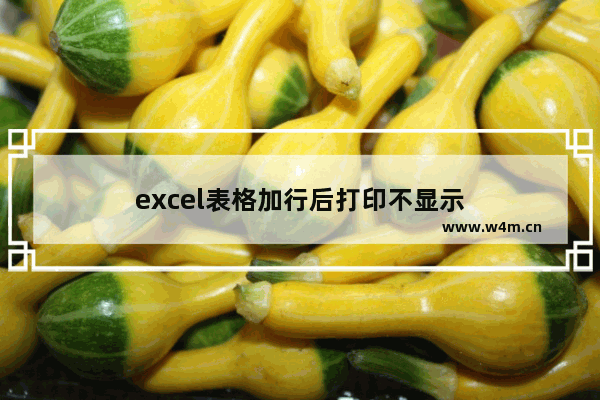 excel表格加行后打印不显示