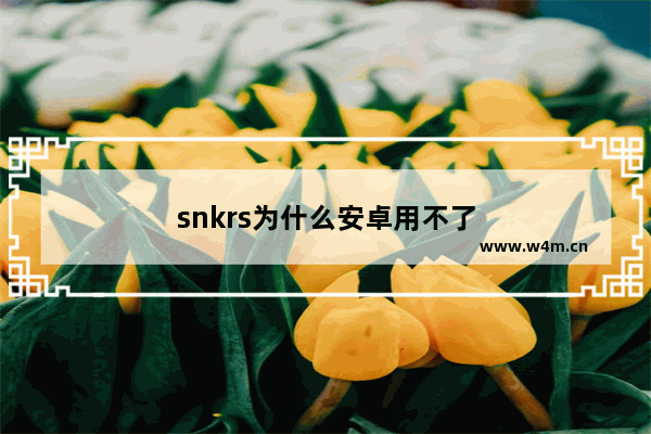 snkrs为什么安卓用不了