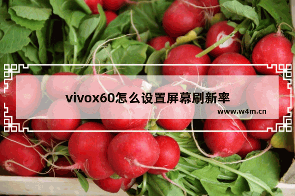 vivox60怎么设置屏幕刷新率