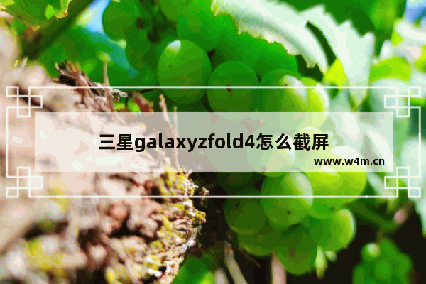 三星galaxyzfold4怎么截屏