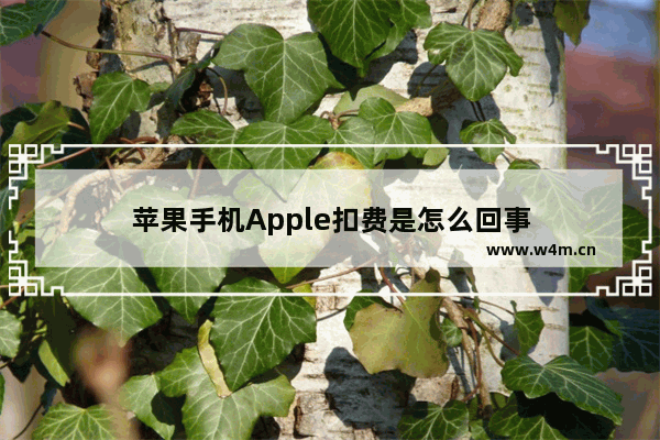 苹果手机Apple扣费是怎么回事