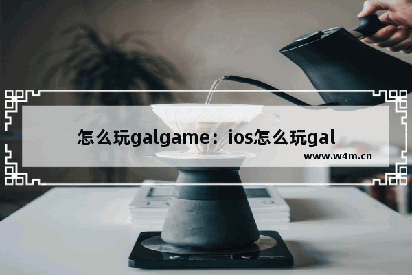 怎么玩galgame：ios怎么玩galgame