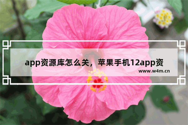 app资源库怎么关，苹果手机12app资源库怎么关闭