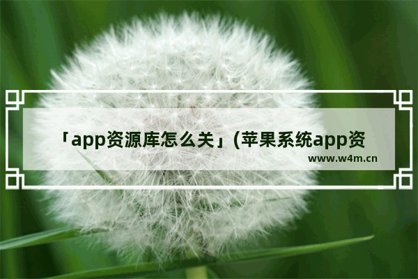 「app资源库怎么关」(苹果系统app资源库怎么关闭)