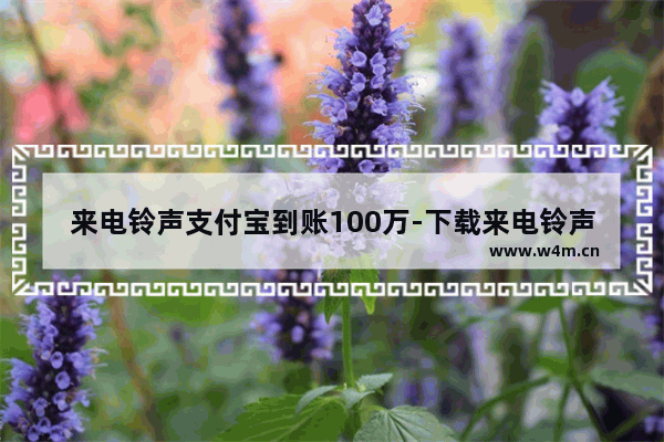 来电铃声支付宝到账100万-下载来电铃声支付宝到账100万元