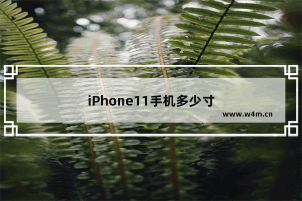 iPhone11手机多少寸