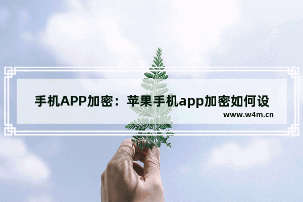 手机APP加密：苹果手机app加密如何设置方法