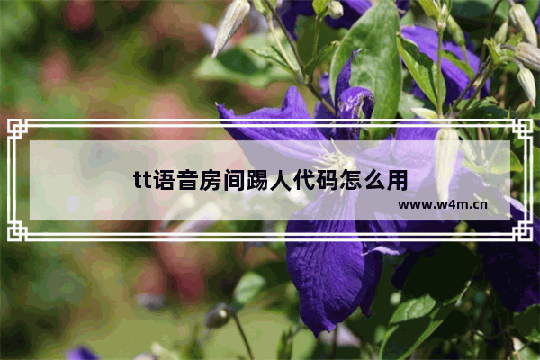 tt语音房间踢人代码怎么用