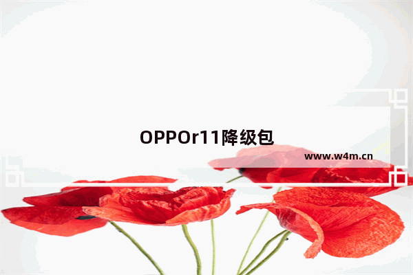 OPPOr11降级包