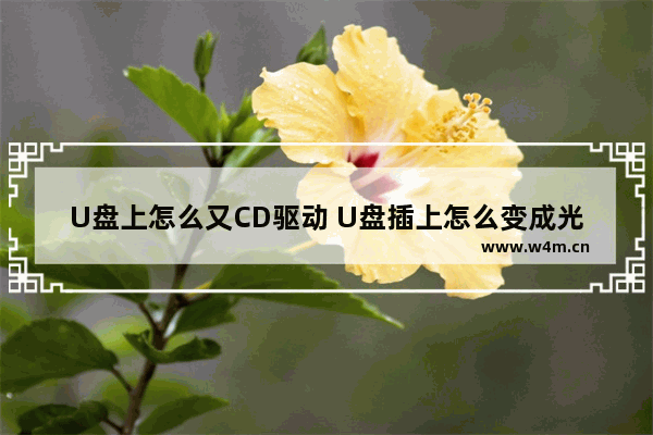 U盘上怎么又CD驱动 U盘插上怎么变成光驱了