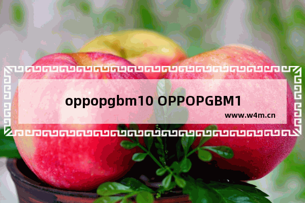 oppopgbm10 OPPOPGBM10是什么时候出的