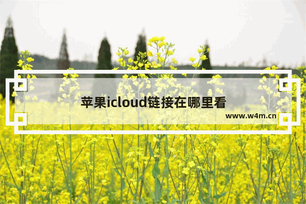 苹果icloud链接在哪里看