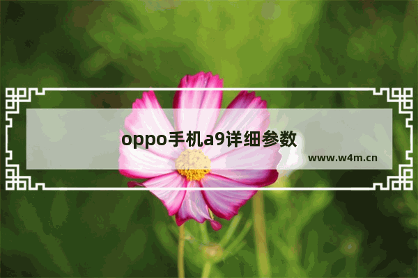 oppo手机a9详细参数