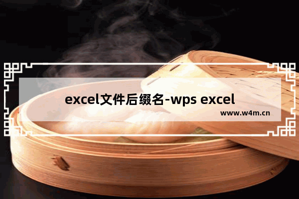 excel文件后缀名-wps excel文件后缀名