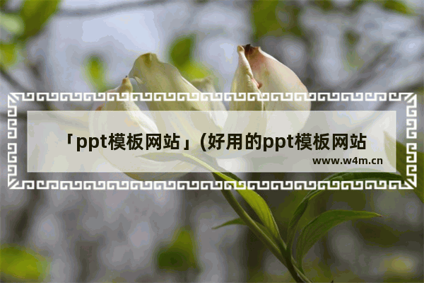 「ppt模板网站」(好用的ppt模板网站免费)