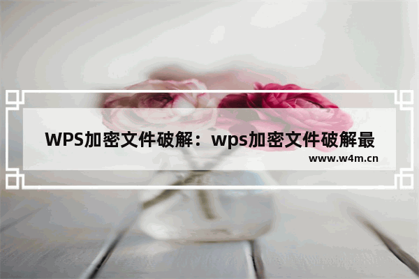 WPS加密文件破解：wps加密文件破解最新方法