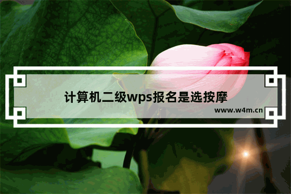 计算机二级wps报名是选按摩