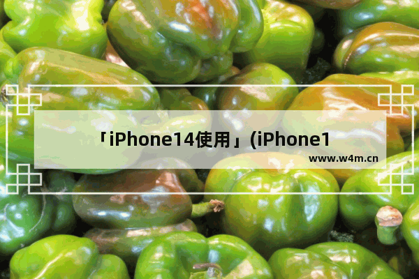 「iPhone14使用」(iPhone14使用时间)