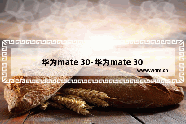 华为mate 30-华为mate 30 pro的参数