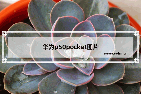 华为p50pocket图片