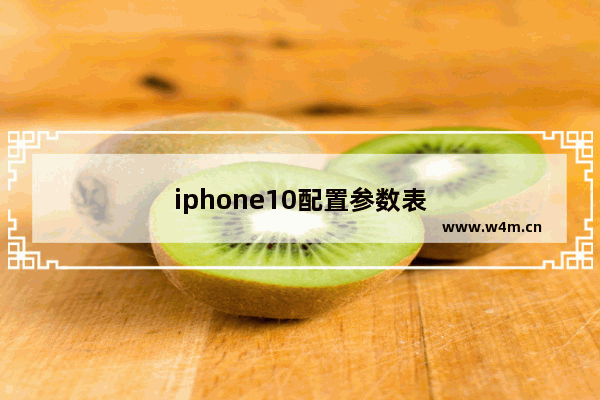 iphone10配置参数表