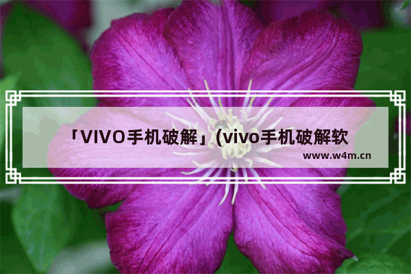 「VIVO手机破解」(vivo手机破解软件不能运行)