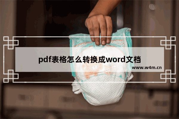 pdf表格怎么转换成word文档