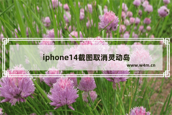 iphone14截图取消灵动岛