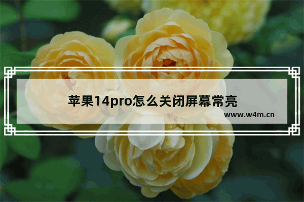 苹果14pro怎么关闭屏幕常亮